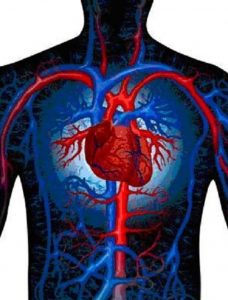 La hipertensión arterial, es un factor de riesgo cardiovascular frecuente ¡Cuídate!
