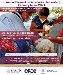 Realizarán Jornada Nacional de Vacunación Antirrábica Canina y Felina 2021 en el estado de QRO