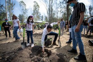 Inicia Temporada de Reforestación 2022 en estado de Querétaro