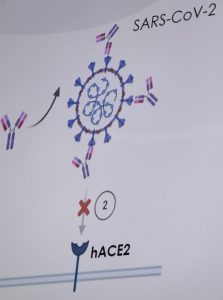 Vacuna de la UAQ avanza a fase preclínica