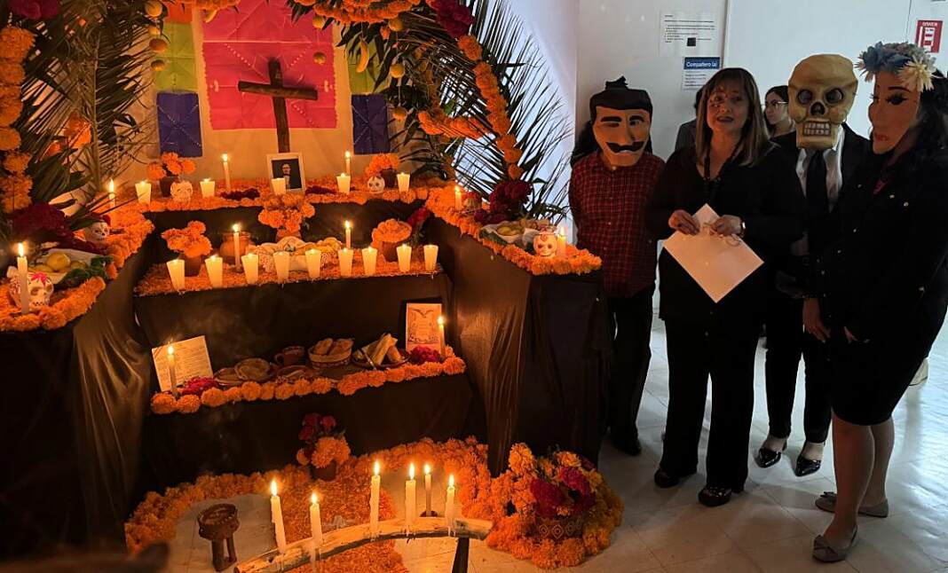 54a03d5e-613e-4204-869d-a1fdfd0f6cd3