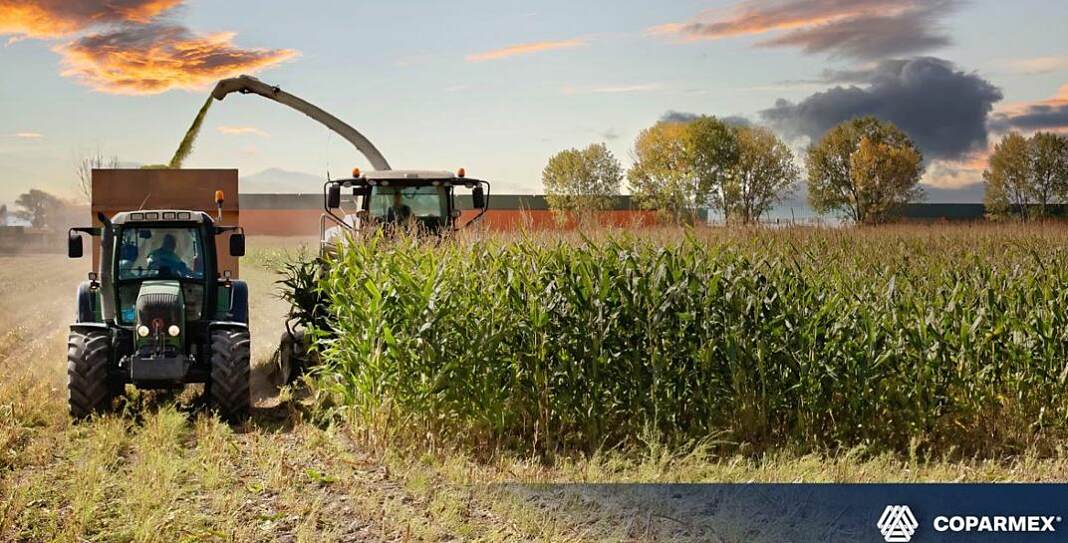 fad4db06-8018-4ffd-8ca9-ec7104d3628d